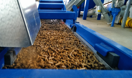 HIMEL Pelletkühlung mit Förderband von der Vibrationsrinne zum Silo